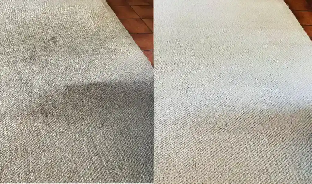 Before and after carpet cleaning results from A OK Quick-Dry