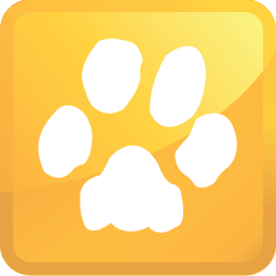 Algonquin Illinois Pet Stain Removal