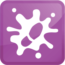 Algonquin Illinois Specialty Stain Removal